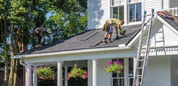 Best Gutter Installation and Roofing  in Millen, GA